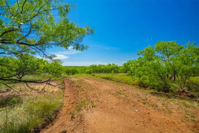 a view of a yard with an tree