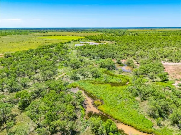 a view of an ocean from a yard