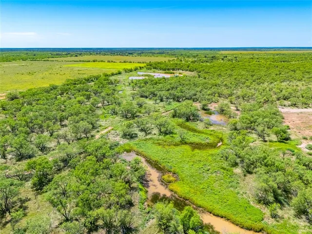 a view of an ocean from a yard