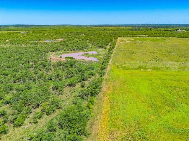 a view of an ocean from a yard
