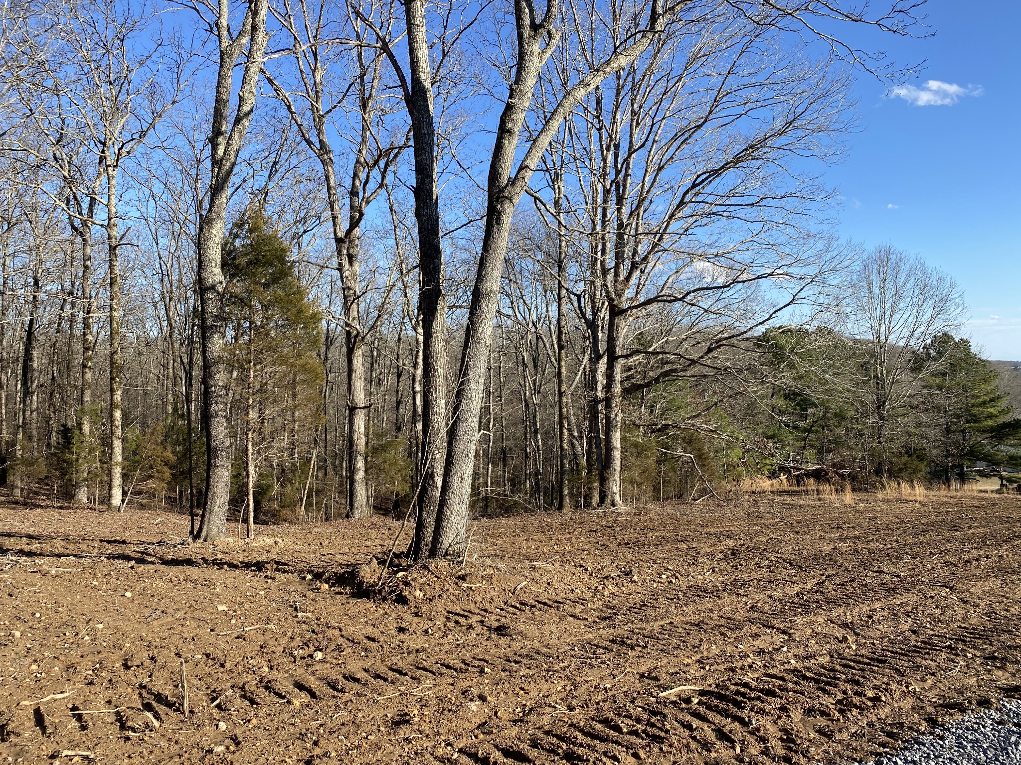 0 Coon Creek Road Dickson, TN 37055 - Photo 11 of 11 Gallery Image 11
