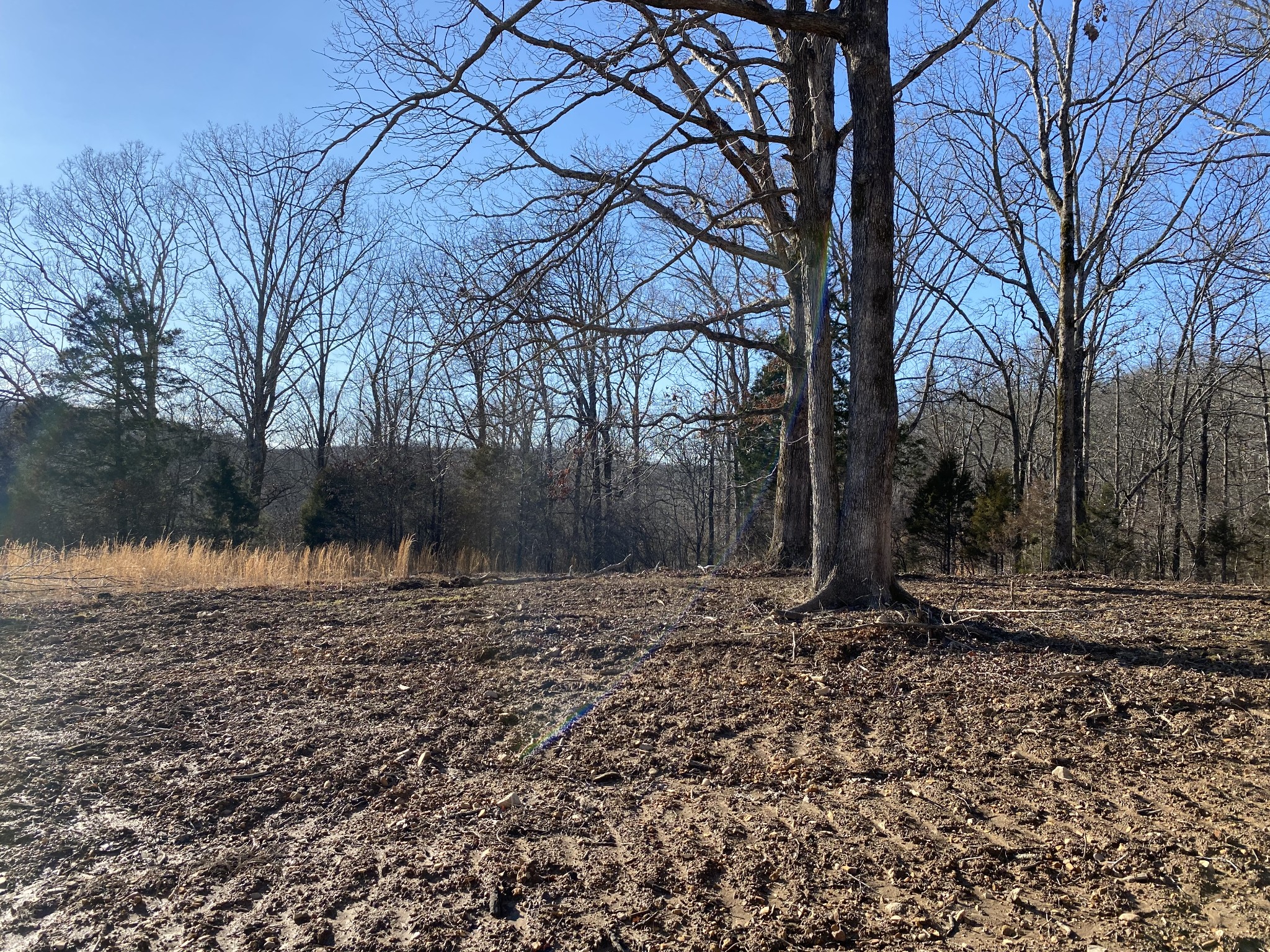 0 Coon Creek Road Dickson, TN 37055 - Photo 8 of 11 Gallery Image 8
