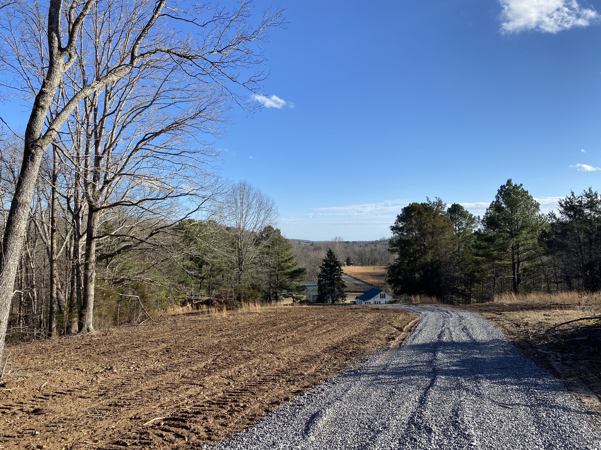 0 Coon Creek Road Dickson, TN 37055 - Photo 9 of 11 Gallery Image 9