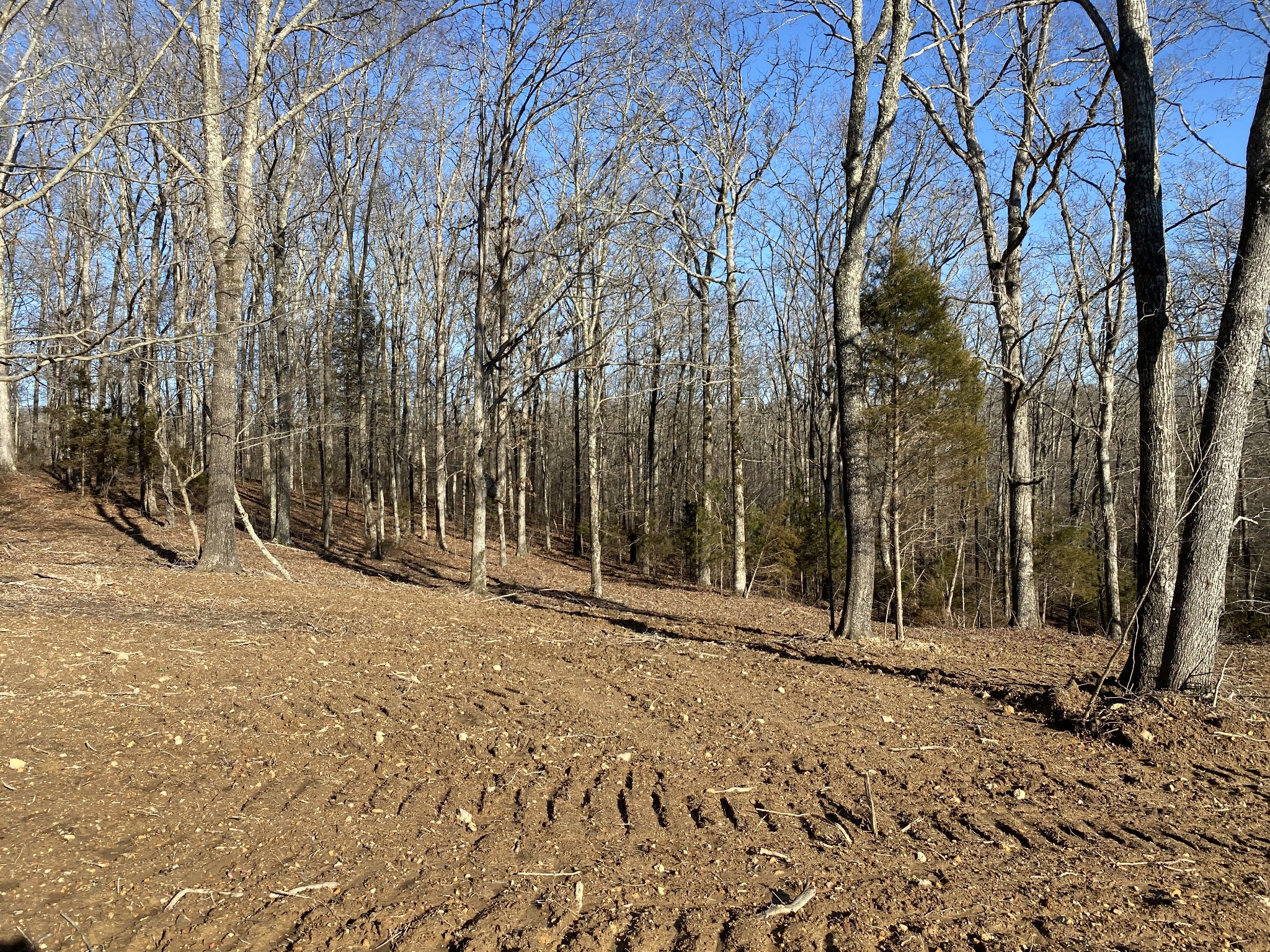 0 Coon Creek Road Dickson, TN 37055 - Photo 10 of 11 Gallery Image 10