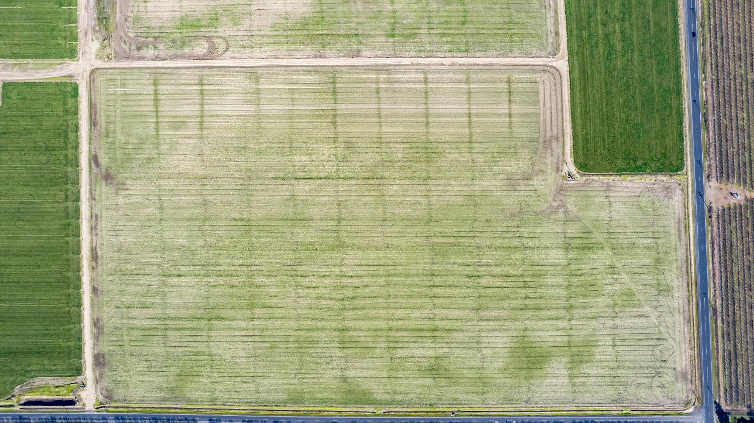 0 13400 N De Vries Road Lodi, CA 95242 - Photo 4 of 8 a bathroom with a shower