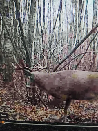 $349,900 | 43704 Co Highway 61, Hinckley, MN 55037