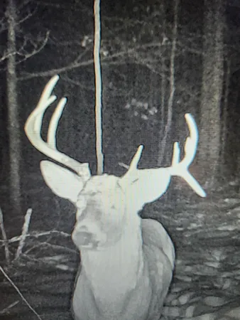 $349,900 | 43704 Co Highway 61, Hinckley, MN 55037