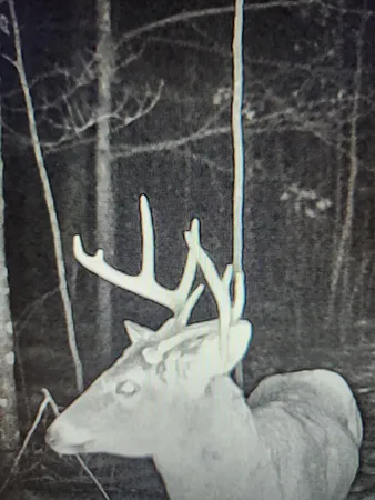 $349,900 | 43704 Co Highway 61, Hinckley, MN 55037