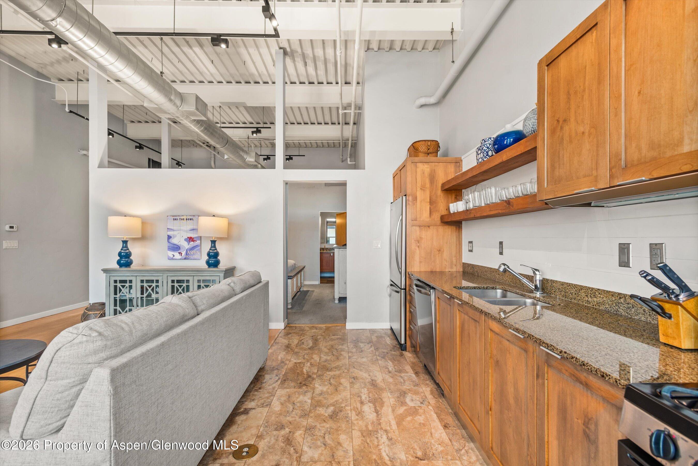 231 Robinson Street, Unit 310 Basalt, CO 81621 - Photo 8 of 15 Kitchen