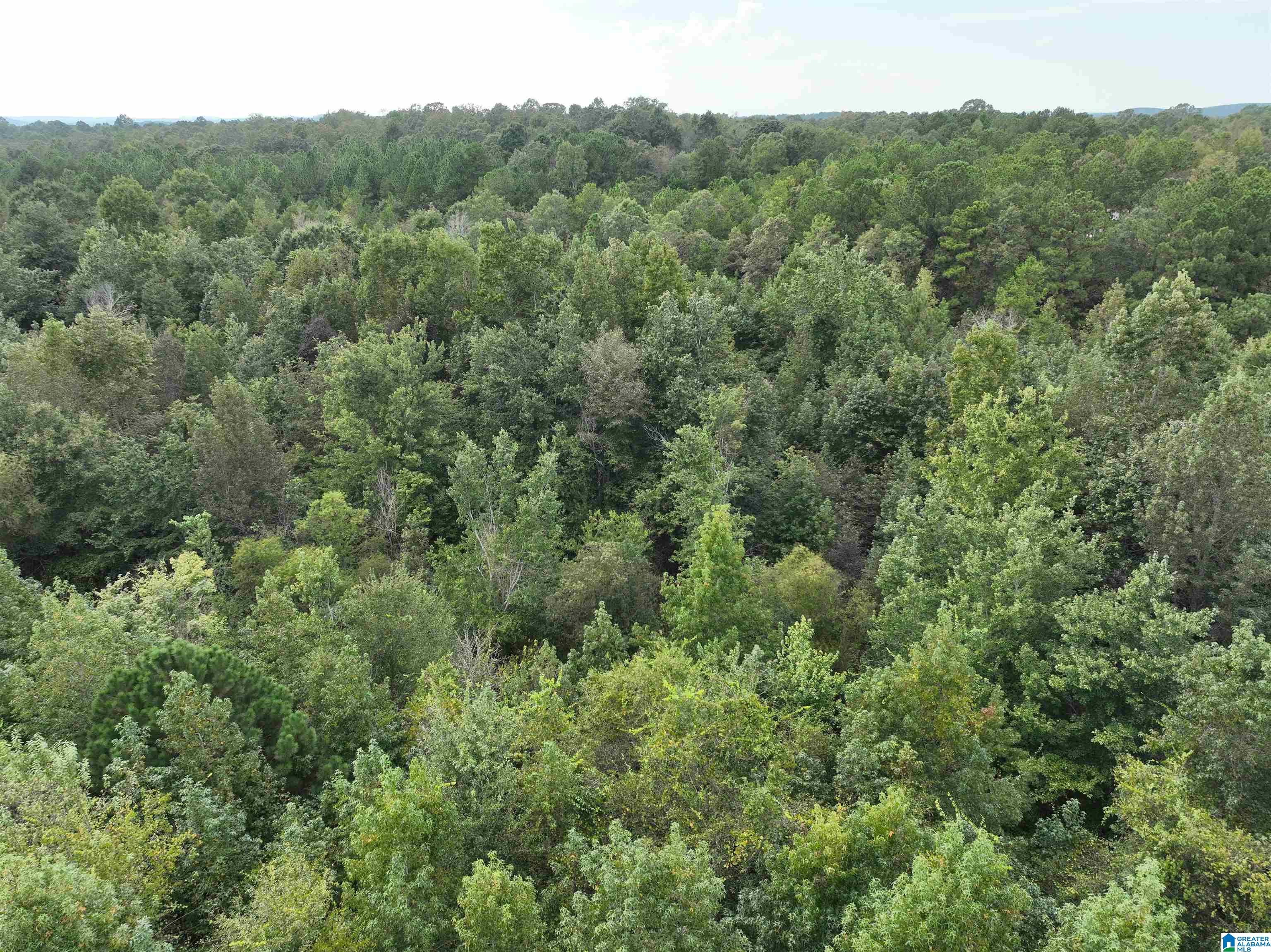 0 Campbell Road Munford, AL 36268 - Photo 1 of 13