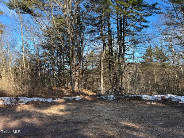 $85,000 | 0 County Rte 21, Whitehall, NY 12887
