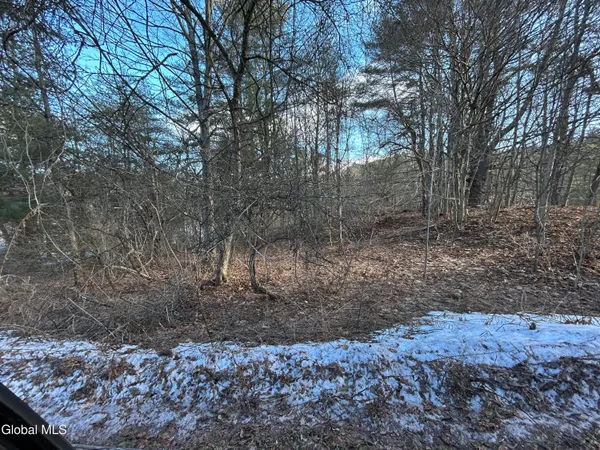 $85,000 | 0 County Rte 21, Whitehall, NY 12887