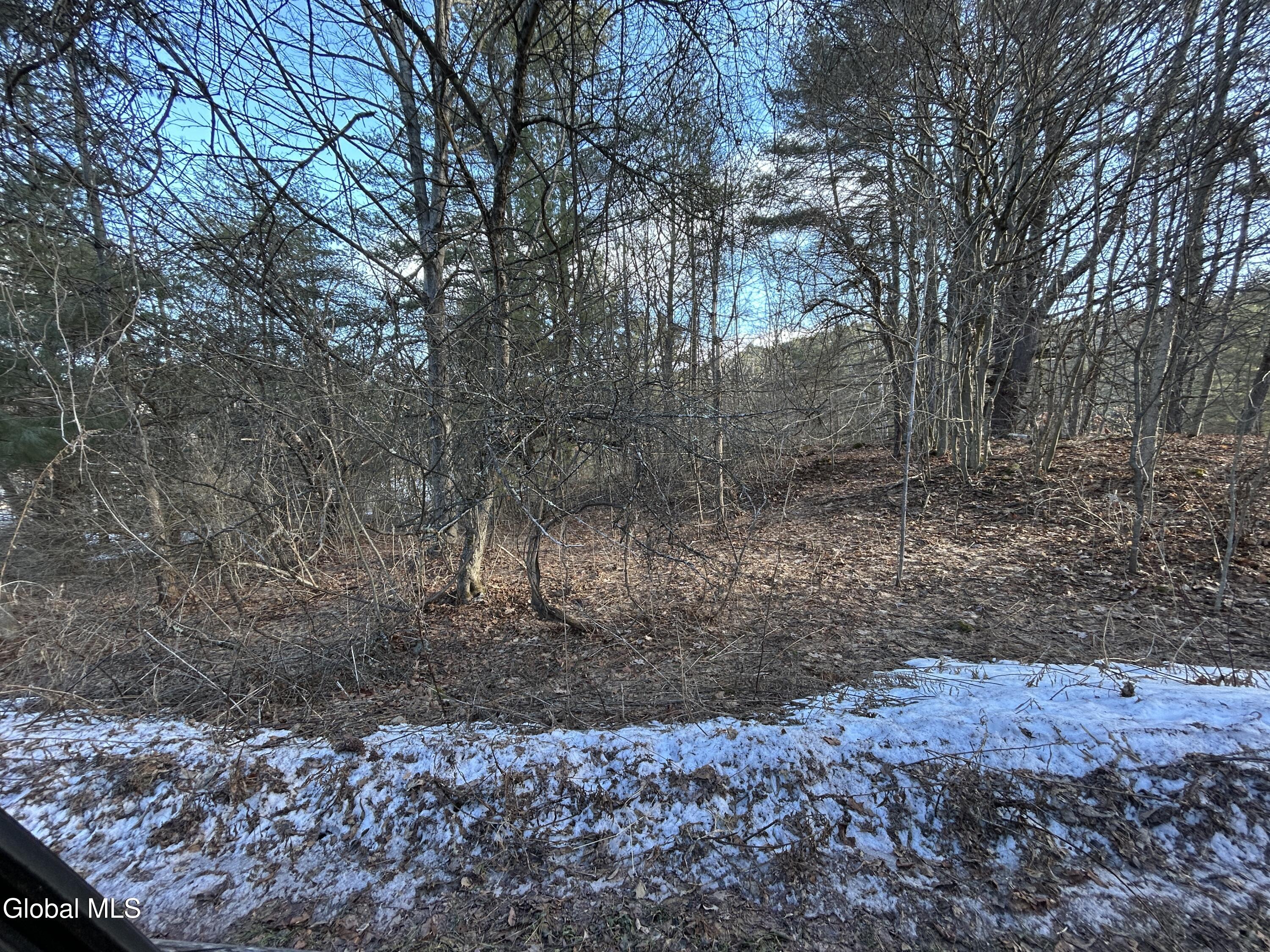 0 County Rte 21 Whitehall, NY 12887 - Photo 2 of 11 front