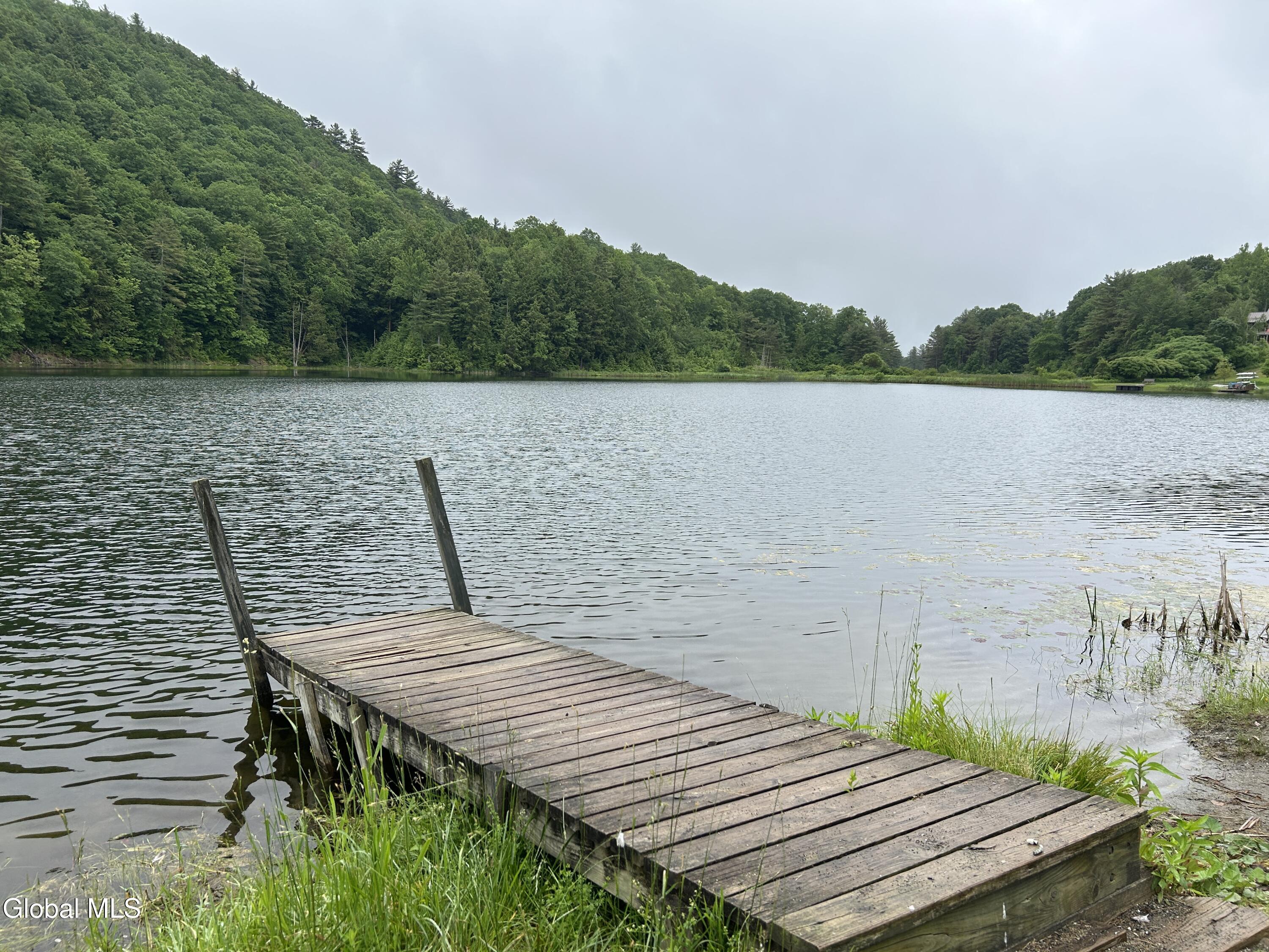 0 County Rte 21 Whitehall, NY 12887 - Photo 6 of 11 Mirror Lake