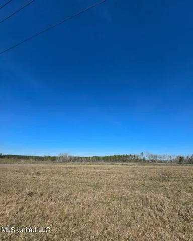 $130,000 | 0 Coal Bluff Road, Lena, MS 39094