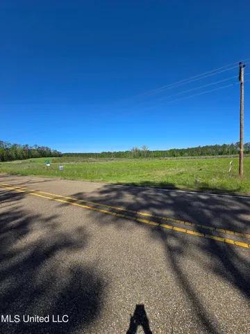 $130,000 | 0 Coal Bluff Road, Lena, MS 39094