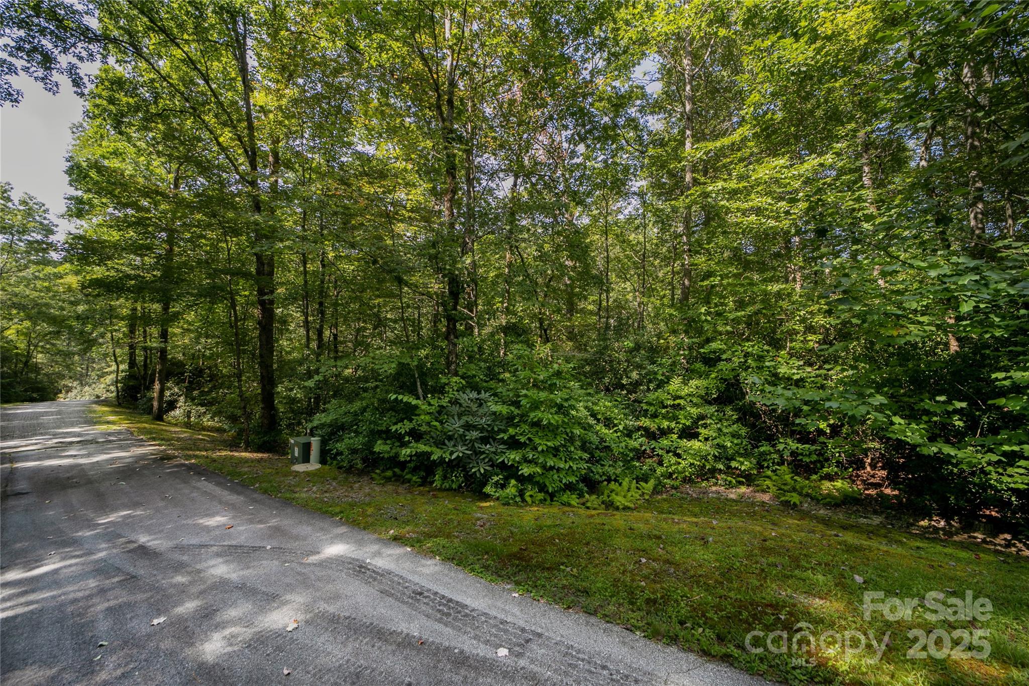 Lot 7 Sweetwater Rdg Road, Unit 7 Balsam Grove, NC 28708 - Photo 2 of 8 a view of a yard with a trees