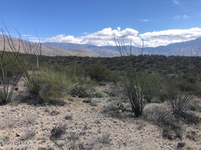 East Rincon Creek Ranch Road, Unit D Tucson, AZ 85747 - Photo 7 of 12 Gallery Image 7