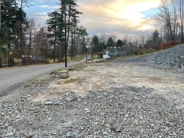 a view of a forest with trees