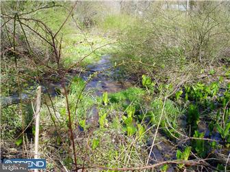 L:9948 Old State Road Boyertown, PA 19512 - Photo 11 of 12 Gallery Image 11
