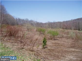 L:9948 Old State Road Boyertown, PA 19512 - Photo 4 of 12 Gallery Image 4