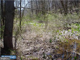 L:9948 Old State Road Boyertown, PA 19512 - Photo 7 of 12 Gallery Image 7