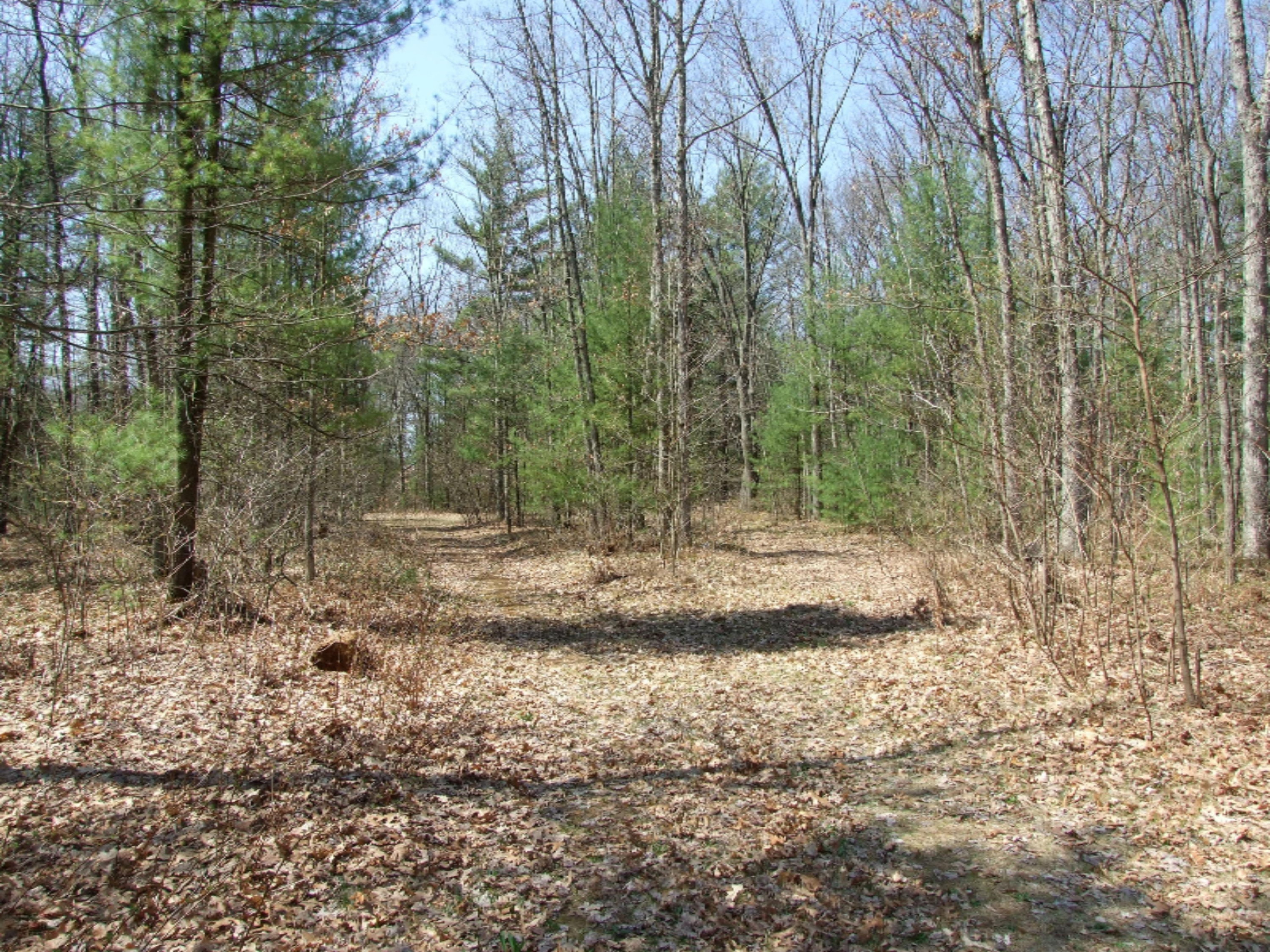 2689 Strand Road Muskegon, MI 49445 - Photo 3 of 27 2006-01-01 21.37.34