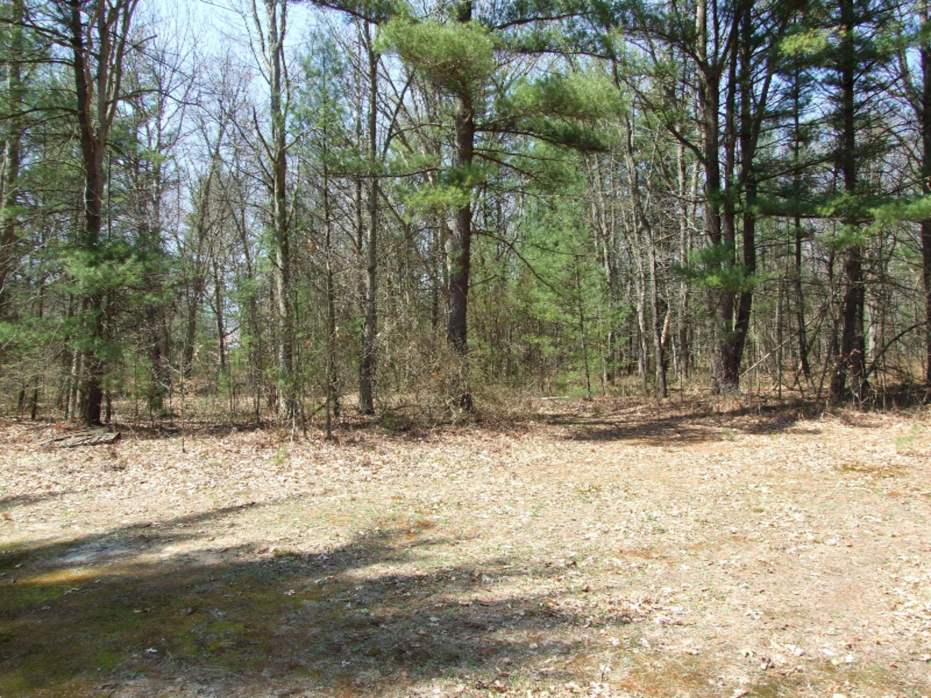 2689 Strand Road Muskegon, MI 49445 - Photo 9 of 27 2006-01-01 21.38.10