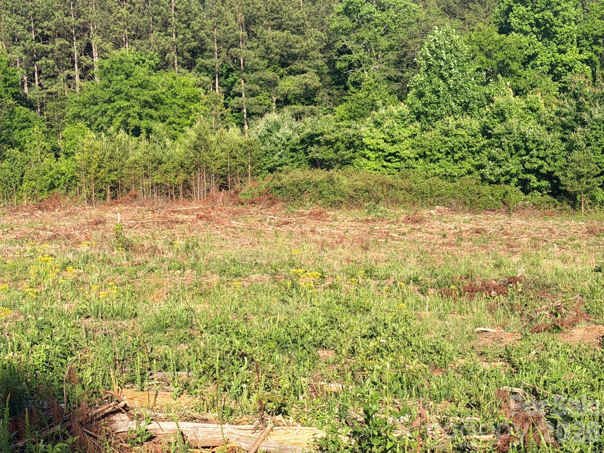 Lot 2 Doggett Grove Road Forest City, NC 28043 - Photo 3 of 6