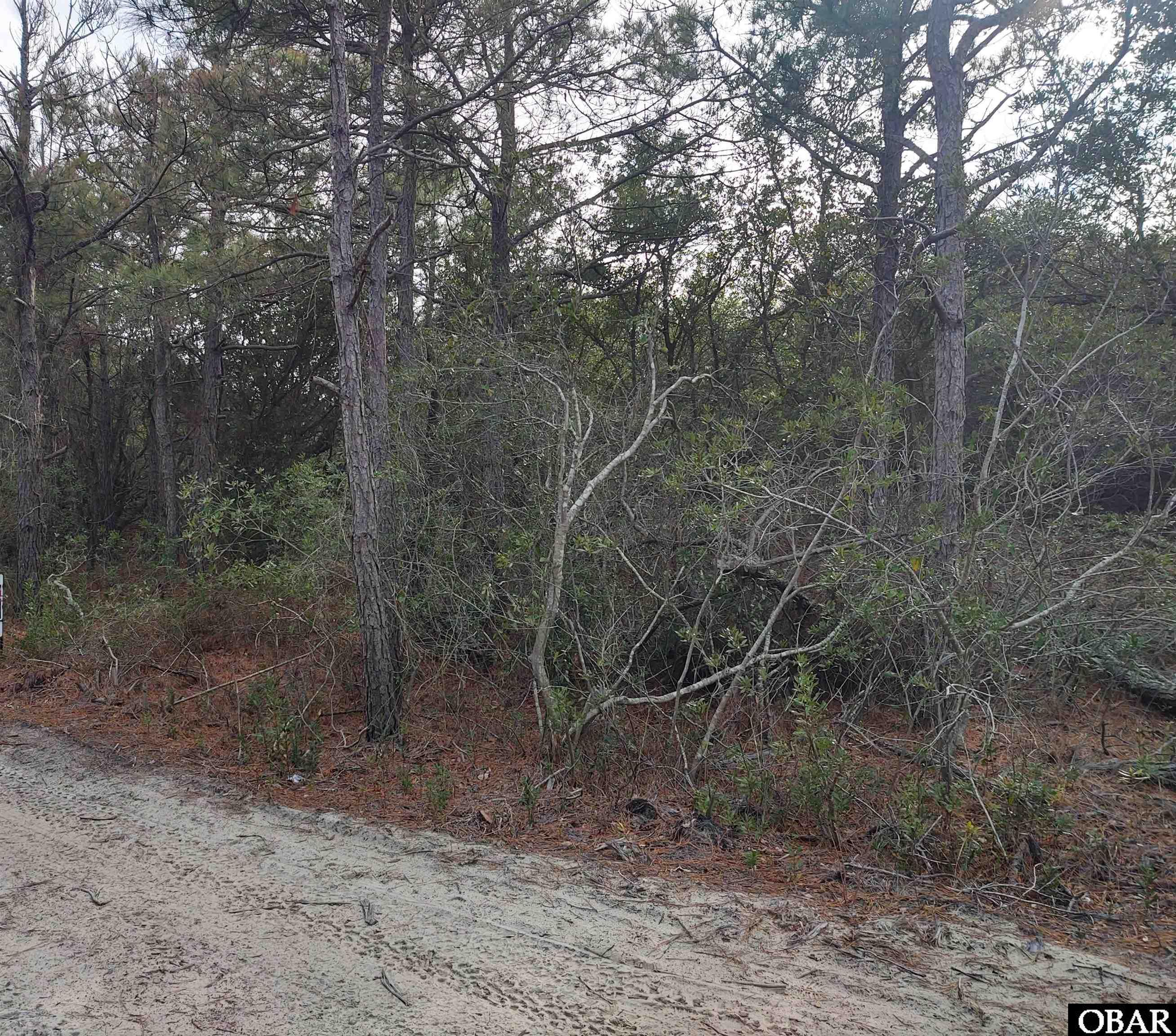 2356 Sandpiper Road Corolla, NC 27927 - Photo 17 of 31