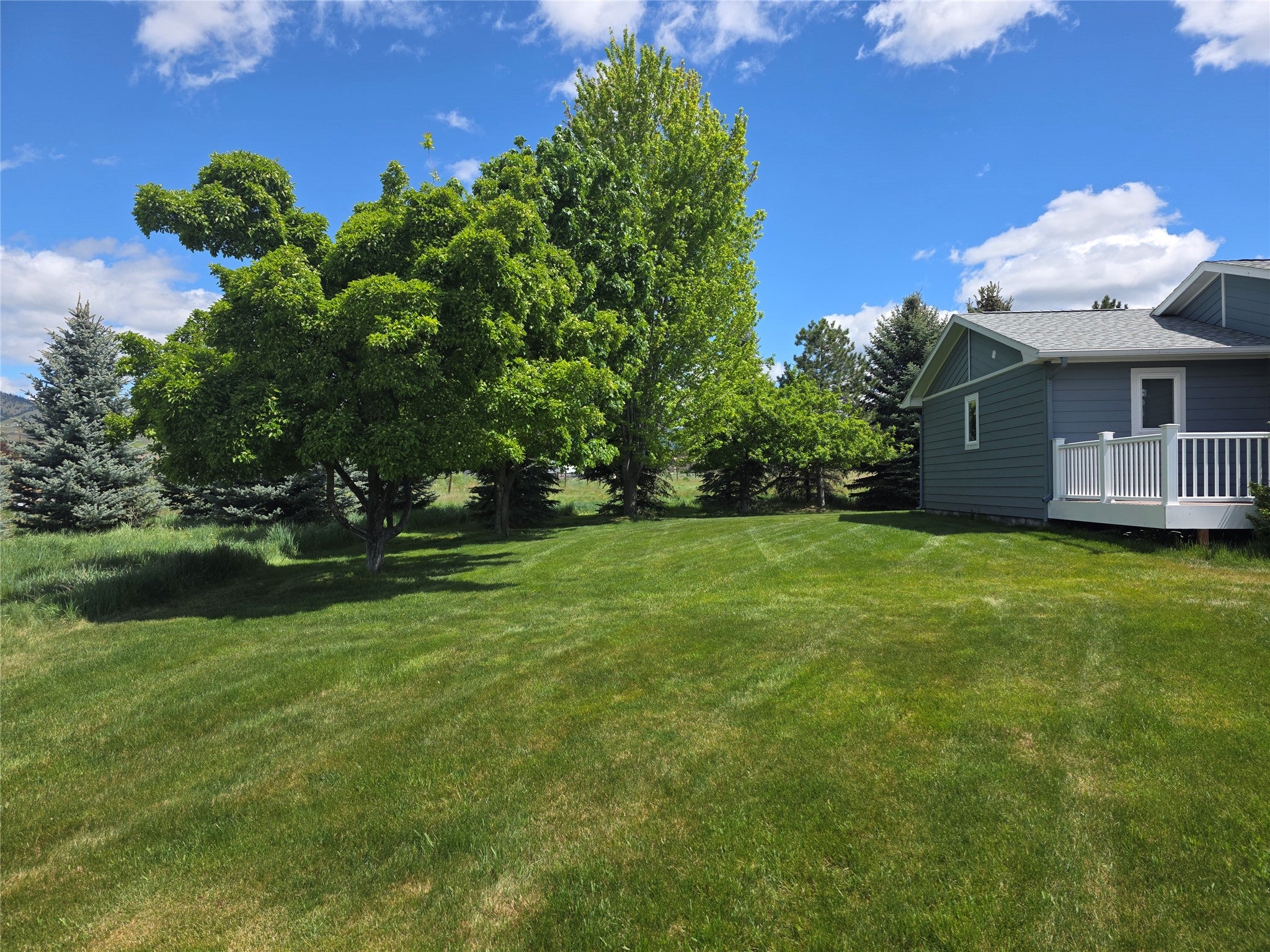 237 8 Mile Creek Road Florence, MT 59833 - Photo 4 of 60 Gallery Image 4