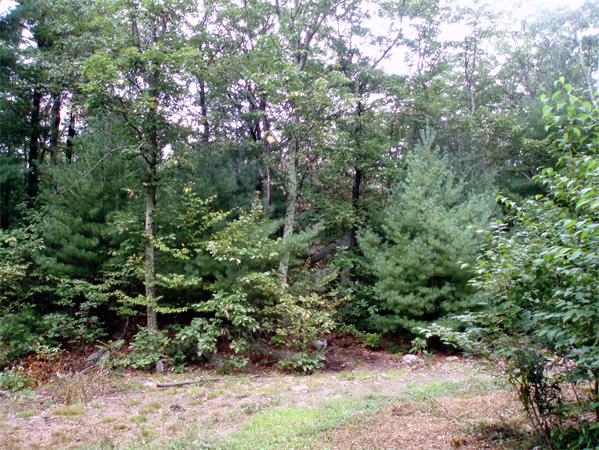 36 R Oak Cliff Road Weymouth, MA 02189 - Photo 3 of 7 Gallery Image 3
