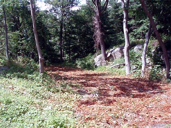36 R Oak Cliff Road Weymouth, MA 02189 - Photo 4 of 7 Gallery Image 4