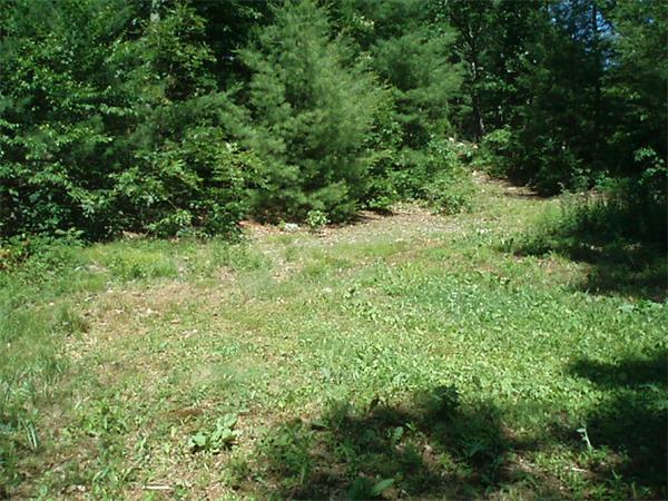 36 R Oak Cliff Road Weymouth, MA 02189 - Photo 6 of 7 Gallery Image 6