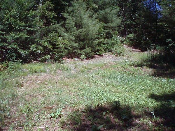 36 R Oak Cliff Road Weymouth, MA 02189 - Photo 7 of 7 Gallery Image 7