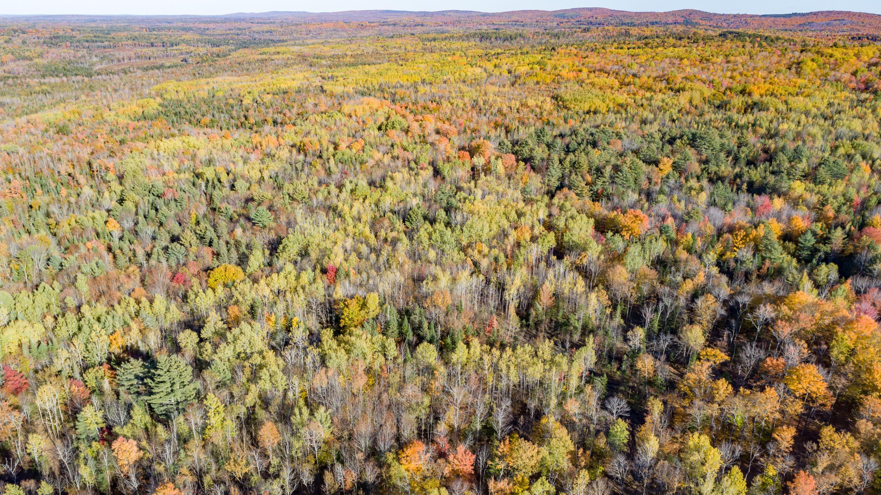 Lot 13 Lot Road Dexter, ME 04930 - Photo 6 of 9 DJI_0114