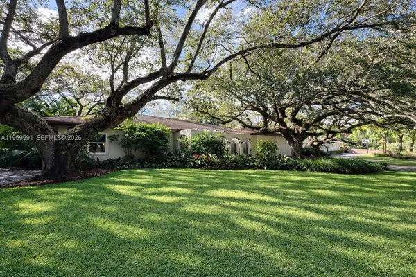 a view of a trees in a yard