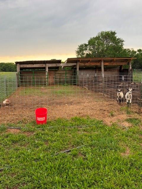 4038 Lee Road Mound City, KS 66056 - Photo 34 of 75