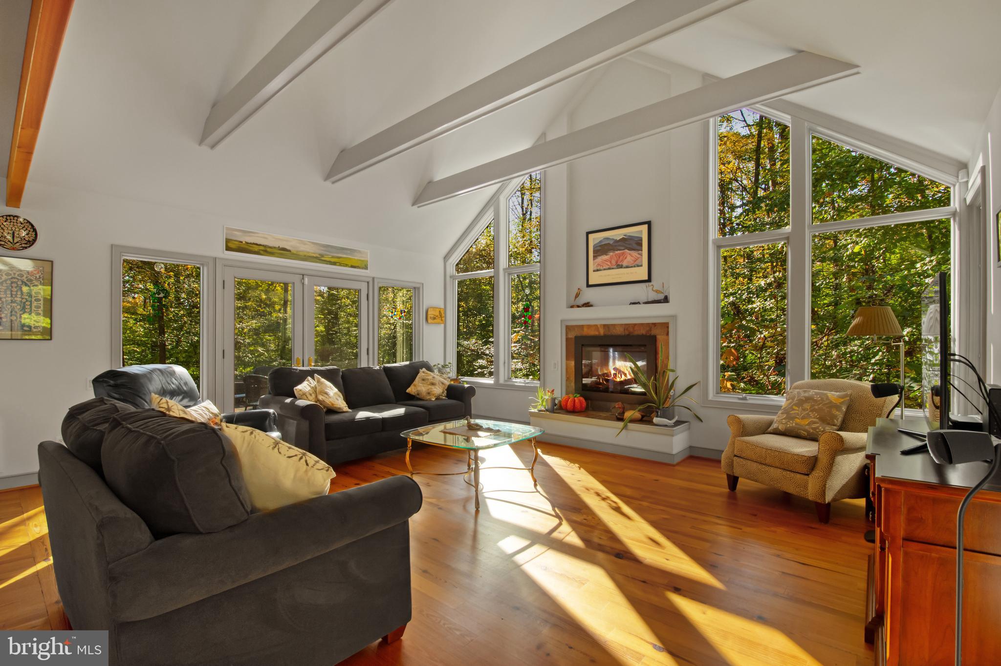 201 Biggs Purchase Lane Lothian, MD 20711 - Photo 16 of 42 a living room with furniture large window and fireplace
