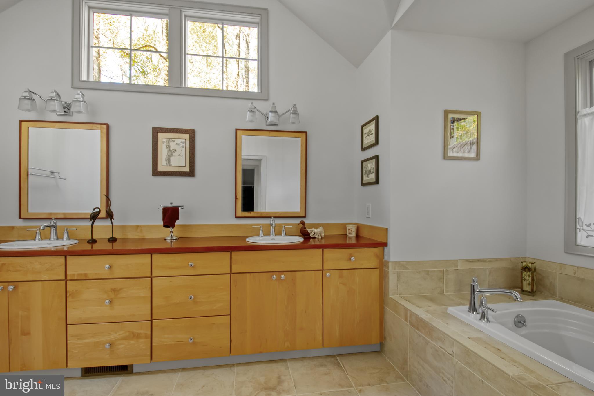 201 Biggs Purchase Lane Lothian, MD 20711 - Photo 24 of 42 a bathroom with a tub sink and mirror