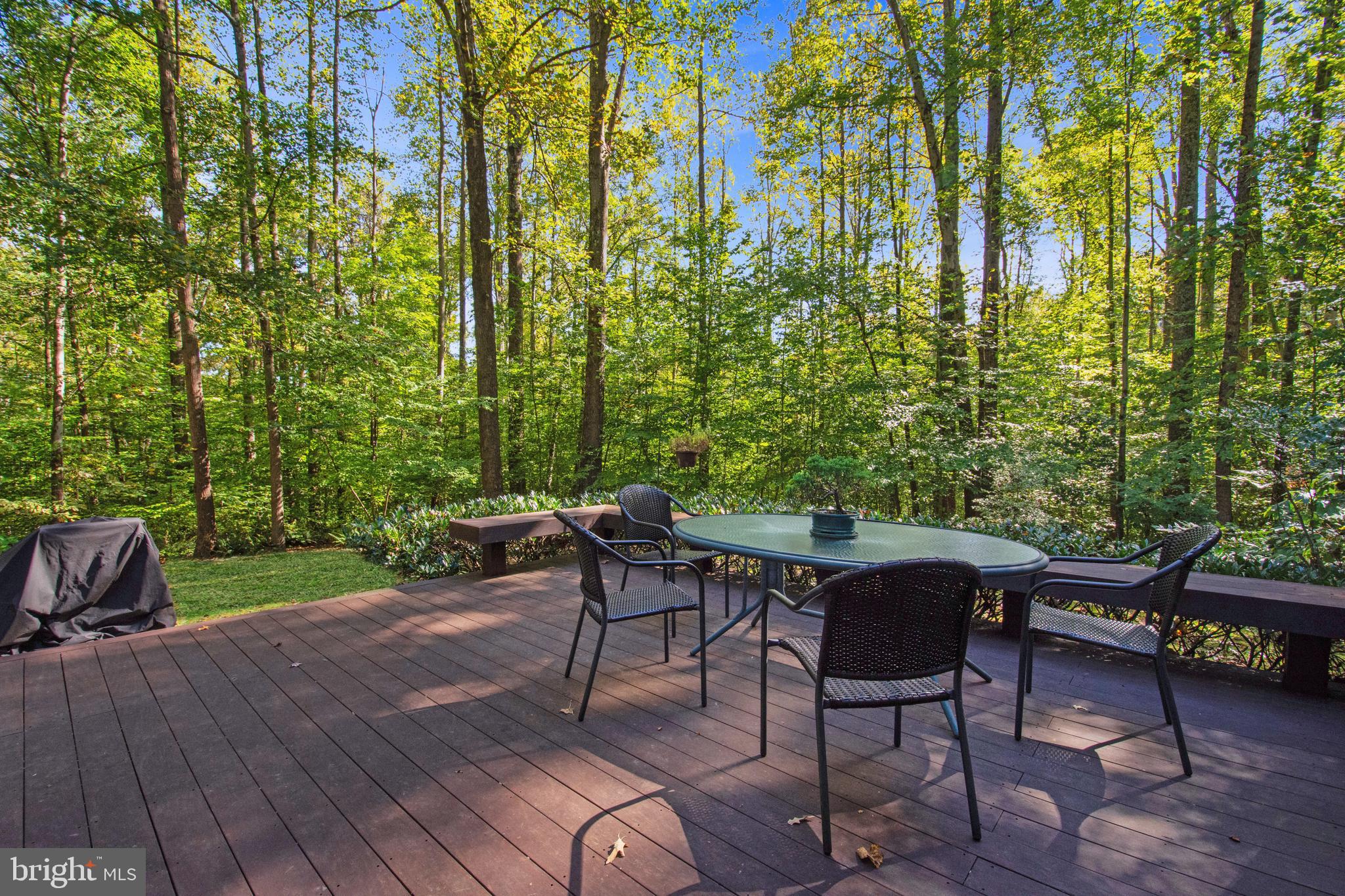 201 Biggs Purchase Lane Lothian, MD 20711 - Photo 10 of 42 a view of a yard with furniture