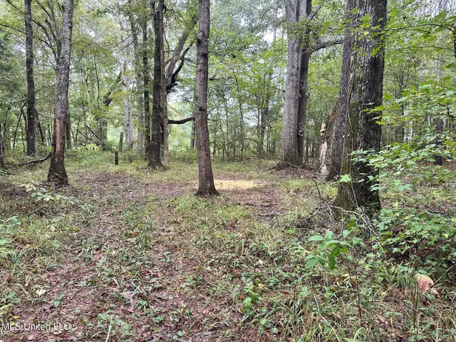 $124,400 | 1851 Swamp Road, Carthage, MS 39051