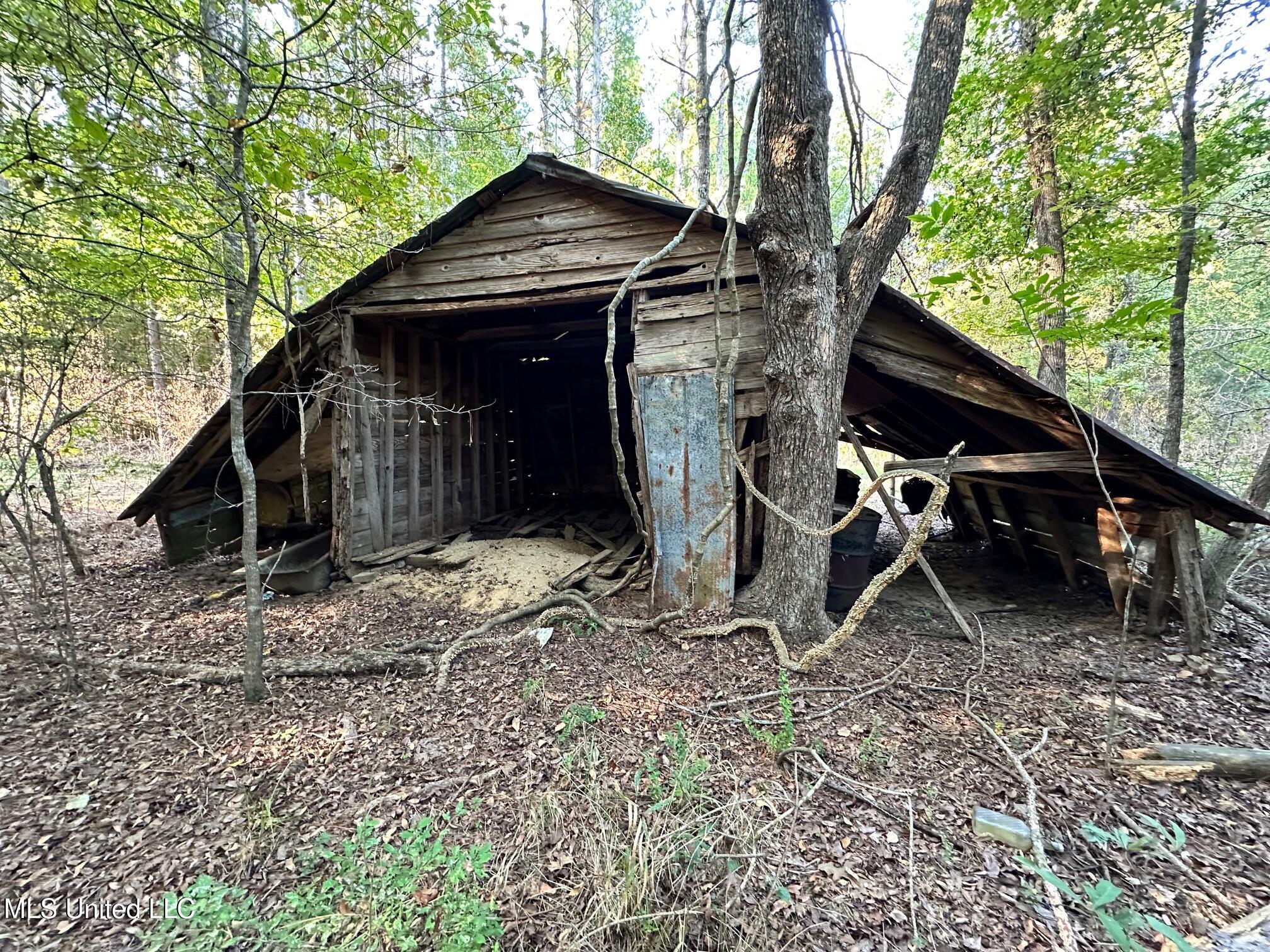 1851 Swamp Road Carthage, MS 39051 - Photo 15 of 31 IMG_5808