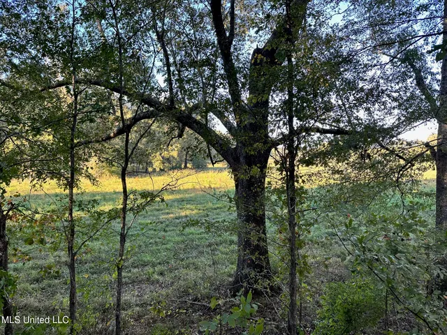 $124,400 | 1851 Swamp Road, Carthage, MS 39051