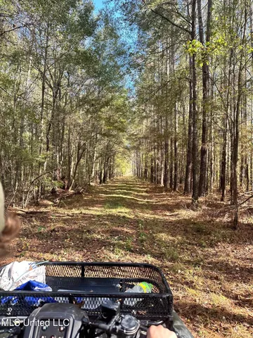 $124,400 | 1851 Swamp Road, Carthage, MS 39051