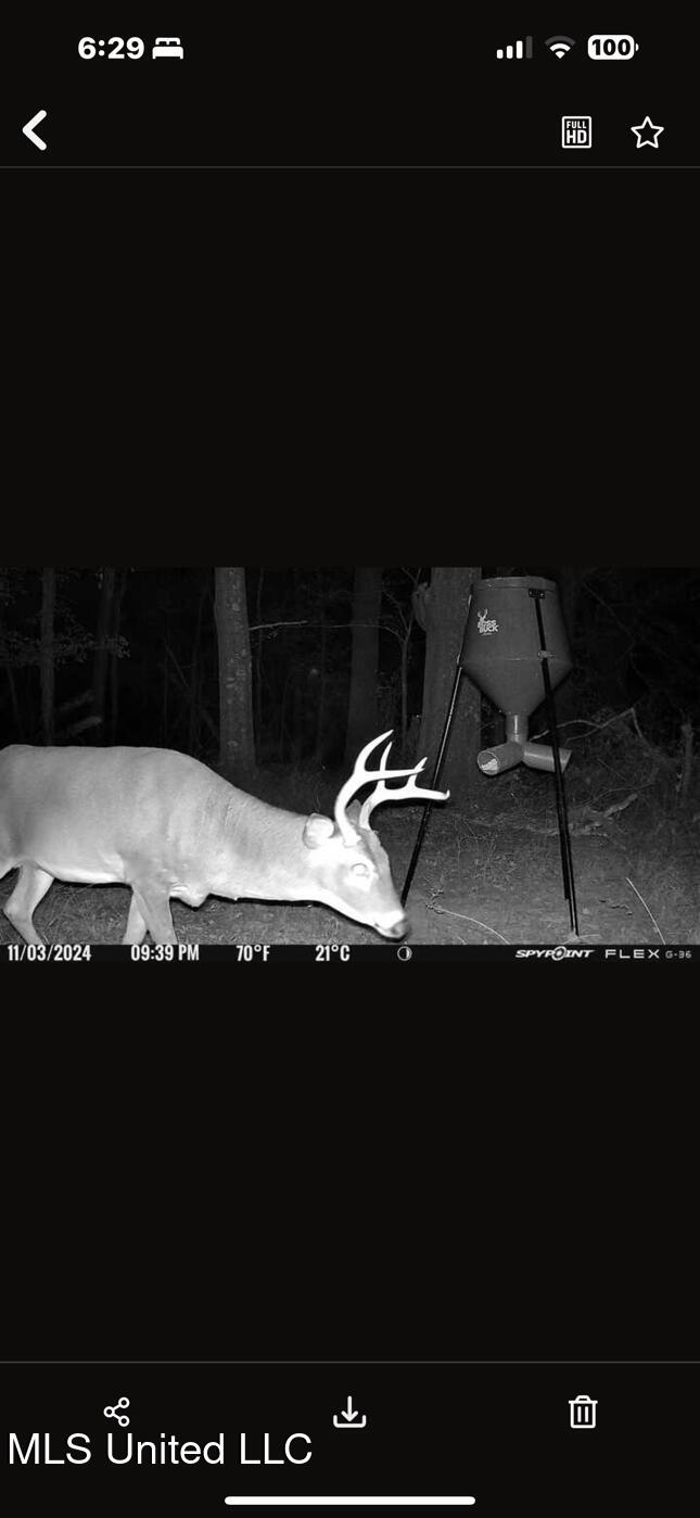 1851 Swamp Road Carthage, MS 39051 - Photo 23 of 31 IMG_6533