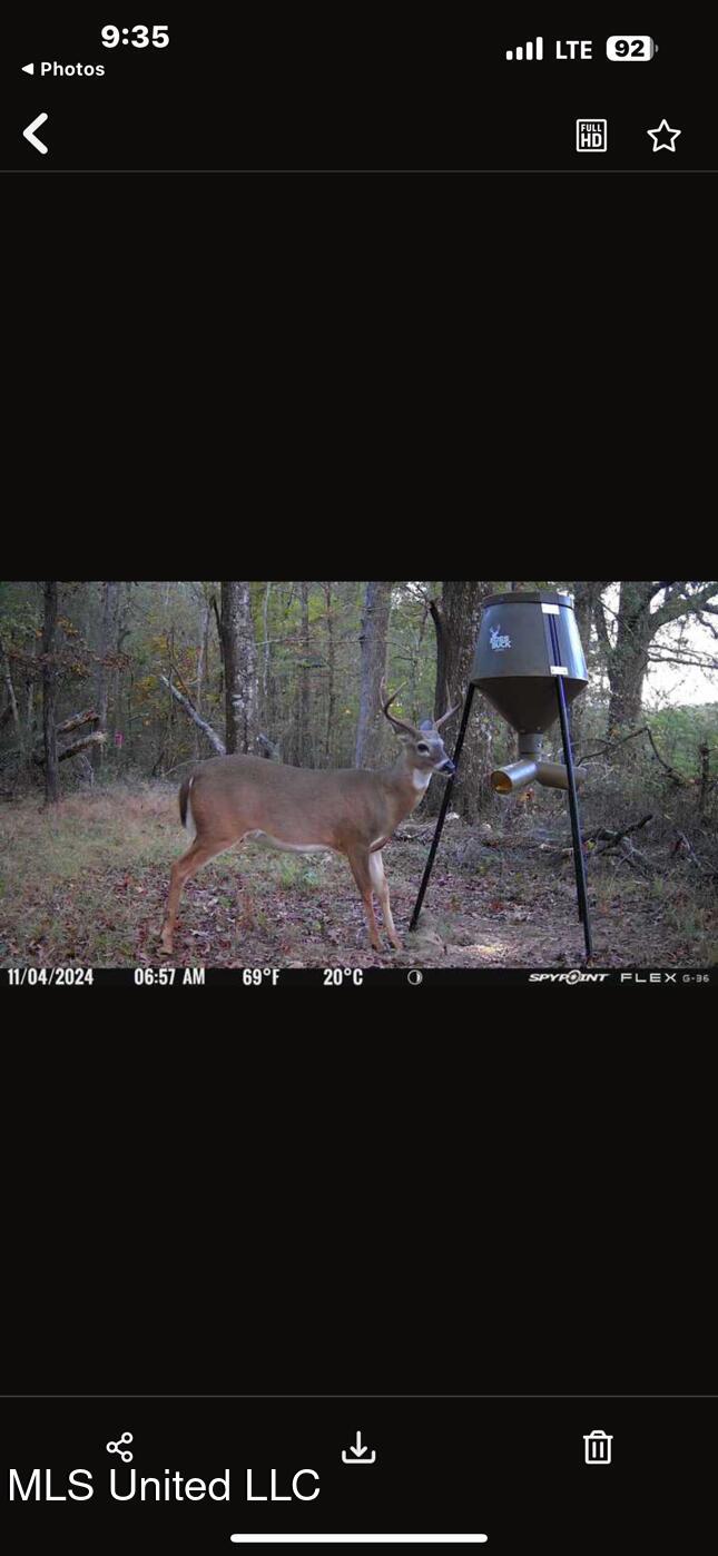 1851 Swamp Road Carthage, MS 39051 - Photo 24 of 31 IMG_6538