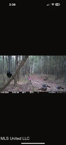 $124,400 | 1851 Swamp Road, Carthage, MS 39051