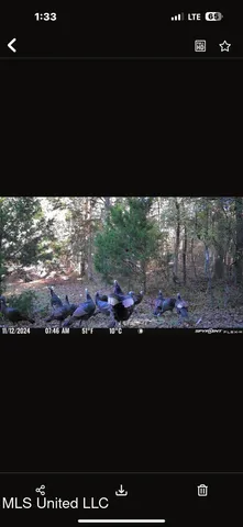 $124,400 | 1851 Swamp Road, Carthage, MS 39051