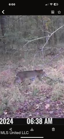 $124,400 | 1851 Swamp Road, Carthage, MS 39051